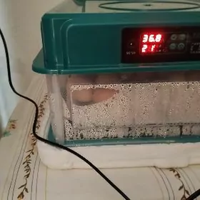 Инкубатор заваской