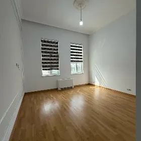 Şayoly Elitka 4 kom satlyk jay