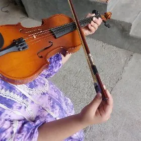 skripka скрипка