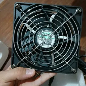 sürpriz ayy, panda, kastyumlaryn matorlary