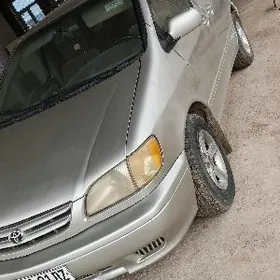 Toyota Sienna 2002