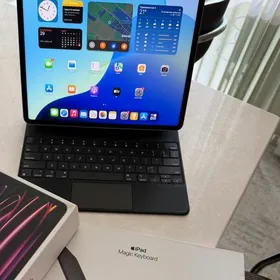 iPad