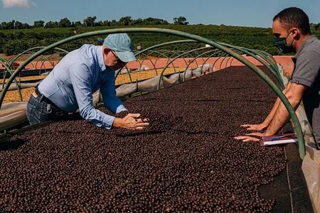 Latyn Amerikasy dünýä azyk bazaryndaky ornuny pugtalandyrýar