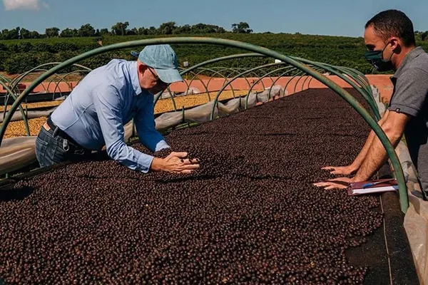 Latyn Amerikasy dünýä azyk bazaryndaky ornuny pugtalandyrýar