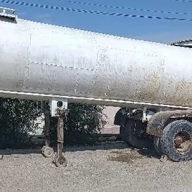 Prisep Polprisep 2023