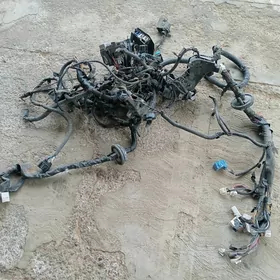 HAYLANDYR TOGY MATORIÑ 19