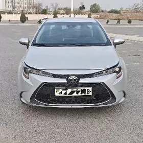 Toyota Corolla 2020