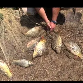 Кастинговая сеть