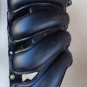 Королла паук