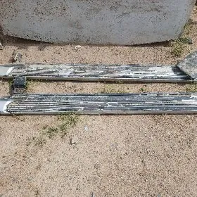 padnoshka siyena 2001