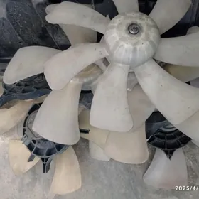 matorçikmorda taÿota