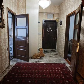 gogol pol elitka 3 et 3 kom