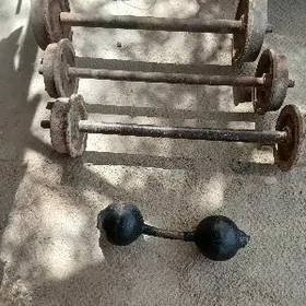 штангалар 4 саны