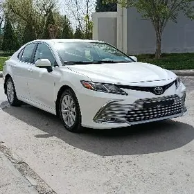 Toyota Camry 2020
