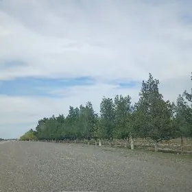 önümçülik üçin ýer