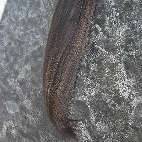 продам волос