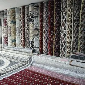 BEGLER YOLY HALY MAGAZIN