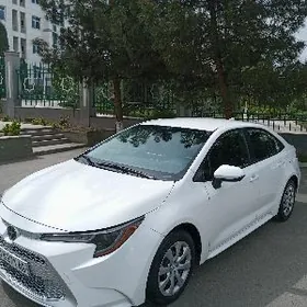 Toyota Corolla 2020
