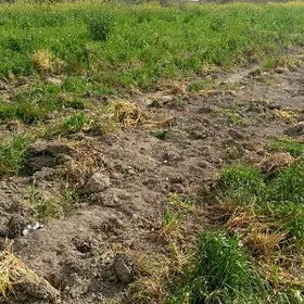 Işçi gerek mellekde