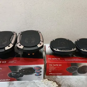 pioneer nikel kalonka