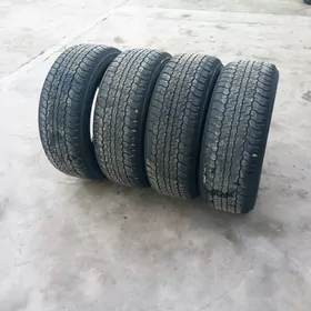 285 60 18 Dunlop arginal