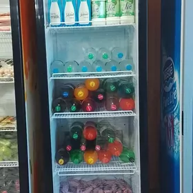 холоденлик