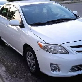 Toyota Corolla 2011