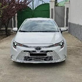 Toyota Corolla 2023
