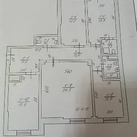 Gogol poluelitka 4 kom arzan