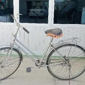 tigir welik welseped