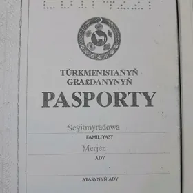 pasport yitirdik