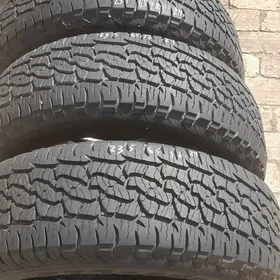 pakrişga 235 65 17lik