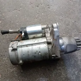 stater morda taÿota