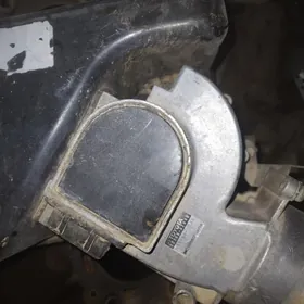 windom zapcaslar awalon fara