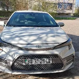 Toyota Corolla 2019