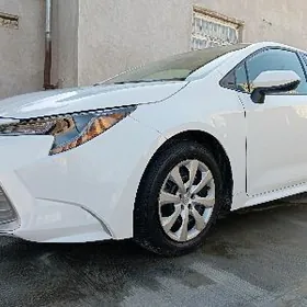 Toyota Corolla 2024