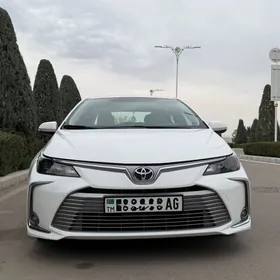 Toyota Corolla 2020