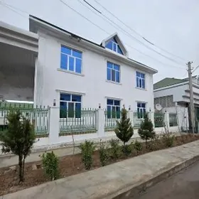 Kotejj anew remontly