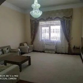 aren nebit gaz elitka