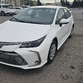 Toyota Corolla 2024
