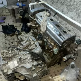 carolla mator karopga