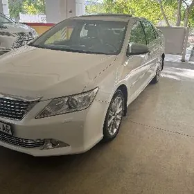 Toyota Aurion 2013
