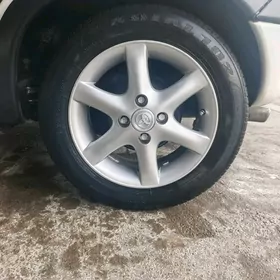 Disga Arginal 14lik Aben