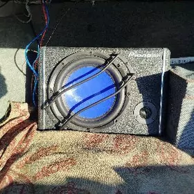 Sambufer boçka (Pioneer)