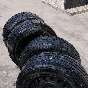 Carollo haliji diska teker