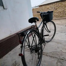 welsewit 28 lik 7 skor