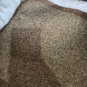 Popugaý Kepderi Dary пшено