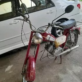 rigo moped
