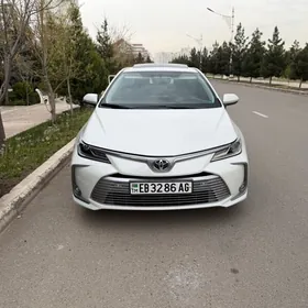 Toyota Corolla 2020