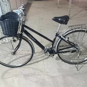 BRISTONE 27 LYK  ALBERT